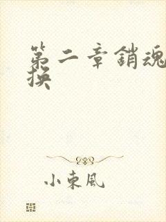 第二章销魂的交换