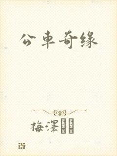 公车奇缘