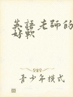 英语老师的兔子好软