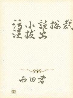 污小说总裁整夜没拔出