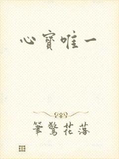 心宝唯一