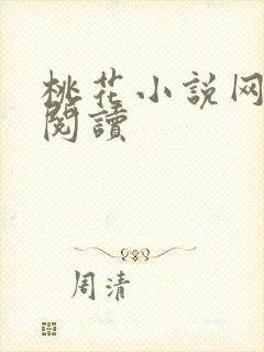 桃花小说网小说阅读