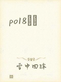 po18С˵