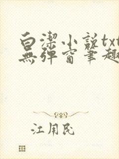 白洁小说txt无弹窗笔趣阁