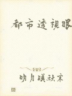 都市透视眼