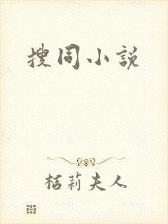 搜同小说