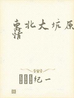 东北大坑原始激情