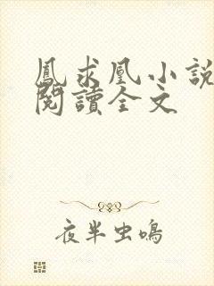 凤求凰小说免费阅读全文