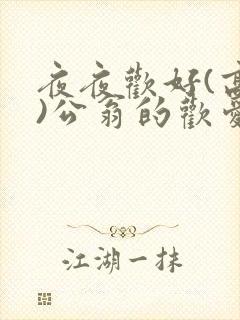 夜夜欢好(高h)公翁的欢爱