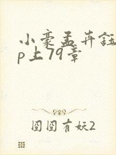 小豪孟卉钰慧三p上79章