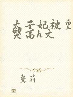 太子妃被皇上c哭高h文