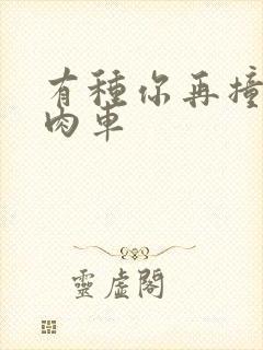 有种你再撞一下肉车