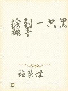 捡到一只黑心小触手