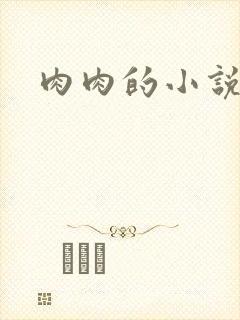 肉肉的小说