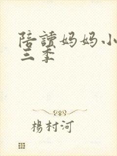 陪读妈妈小说第三季