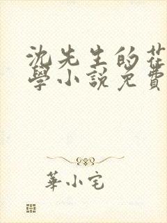 沈先生的花式教学小说免费