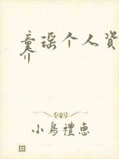 童瑶个人资料简介