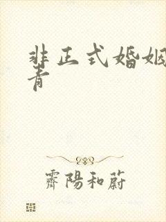 非正式婚姻雾里青