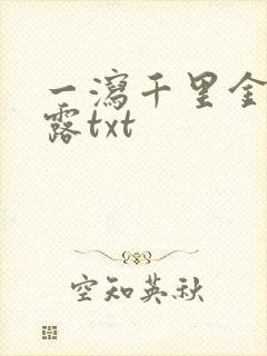 一泻千里金银花露txt