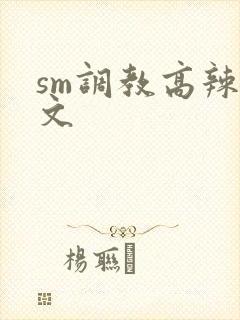 sm调教高辣h文