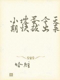 小坏蛋今天危险期快拔出来