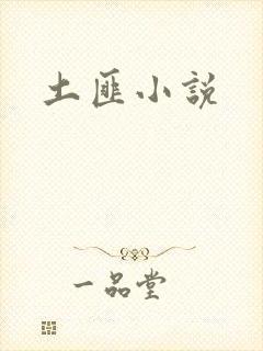 土匪小说