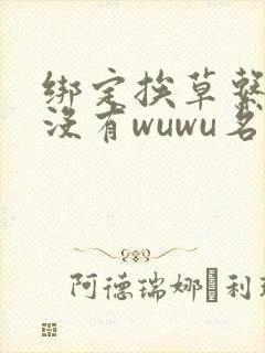 绑定挨草系统后没有wuwu名字