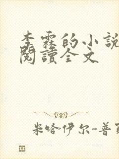 李霖的小说免费阅读全文