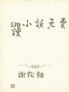 sm小说免费阅读