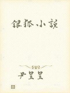 银狐小说