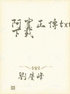 阿宾正传txt下载
