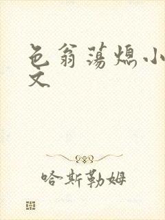 色翁荡熄小说全文