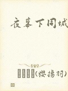 夜幕下同城网