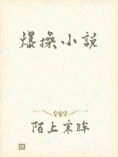 爆操小说