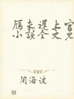 雁未迟上官穿越小说全文免费阅读