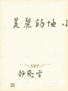 美丽的他 小说