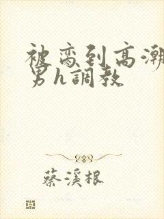 被脔到高潮的直男h调教