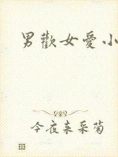 男欢女爱小说