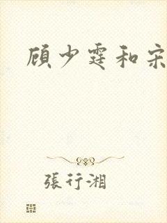 顾少霆和宋斯曼