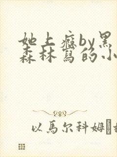 她上瘾by黑暗森林写的小说免费阅读无弹窗