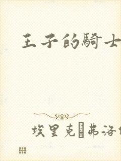 王子的骑士小说