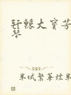 轩辕大宝芳菲雅琴