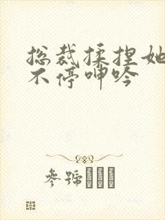 总裁揉捏她两乳不停呻吟