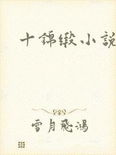 十锦缎小说
