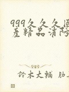 999久久久国产精品消防器材