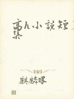 高h小说短篇合集
