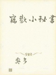 窃欢小秘书