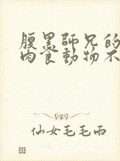 腹黑师兄的日常肉食动物不食草