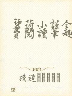 碧荷小说全文免费阅读笔趣阁