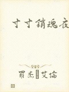 寸寸销魂夜春光